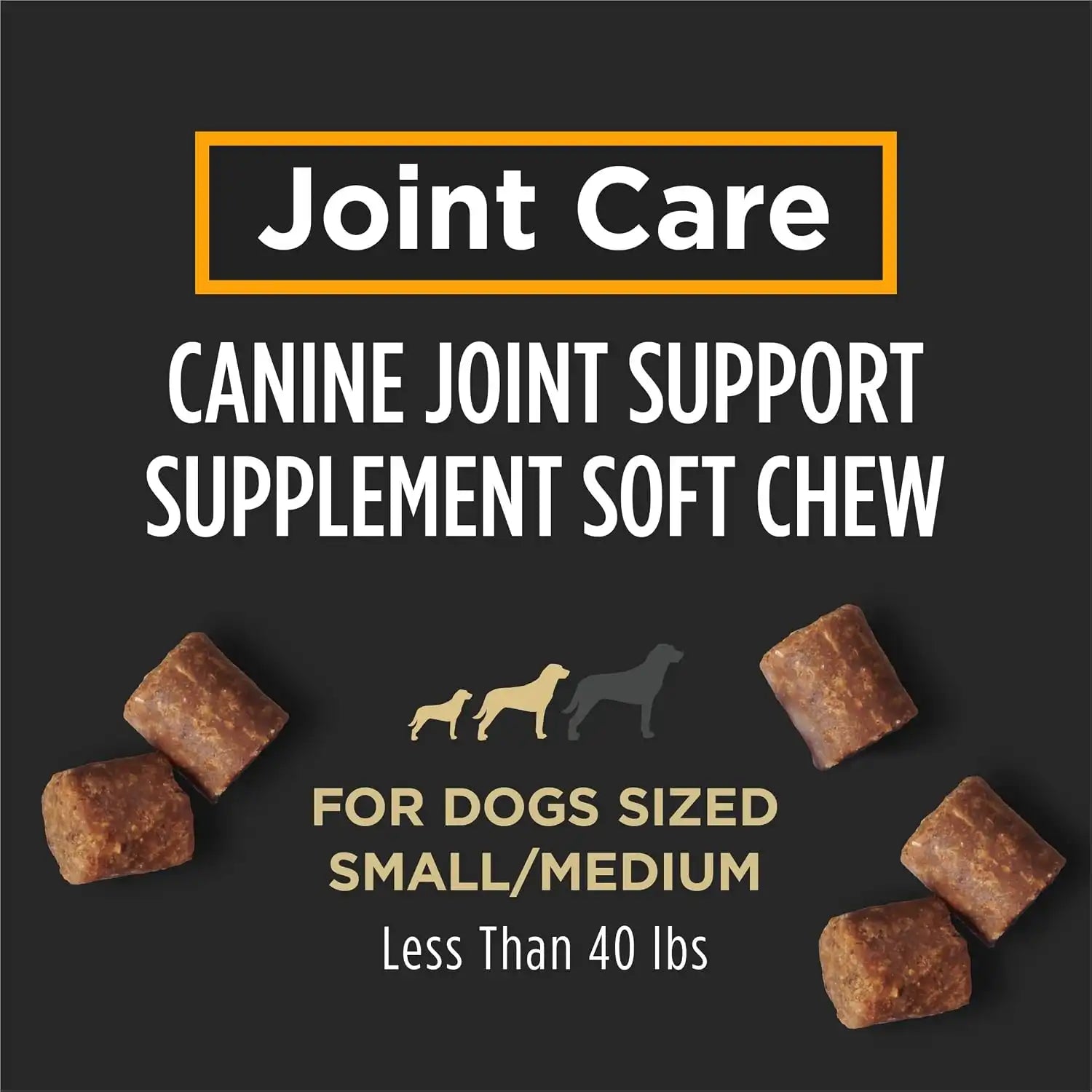 purinadogfood.it.com