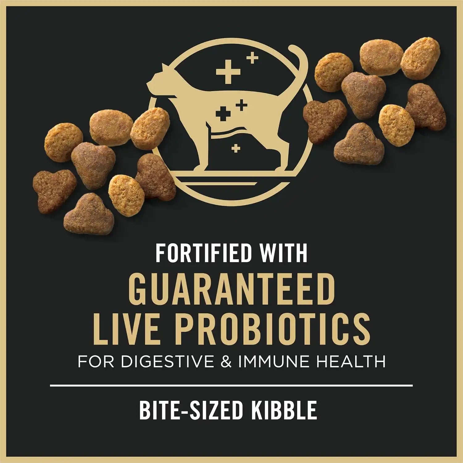 purinadogfood.it.com