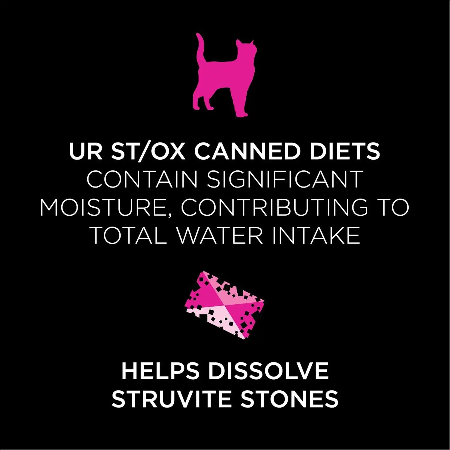 purinadogfood.it.com