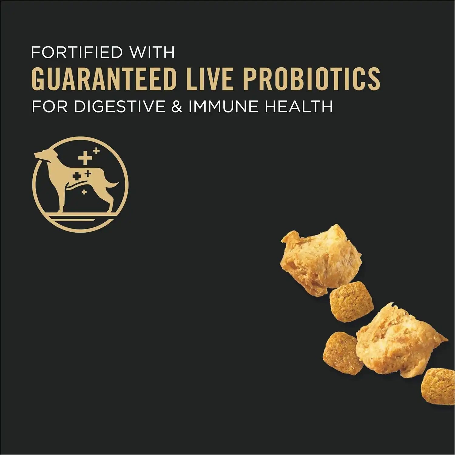 purinadogfood.it.com