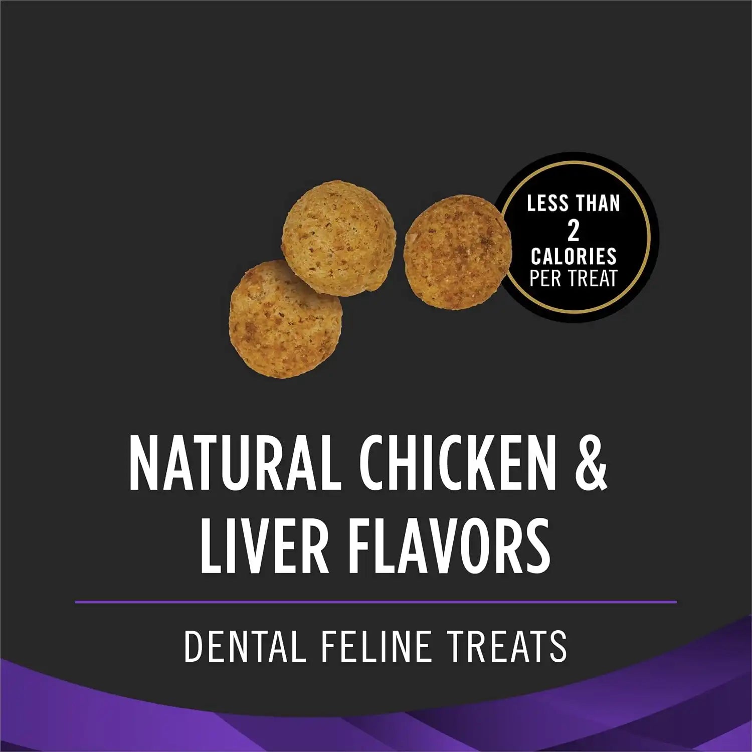 purinadogfood.it.com