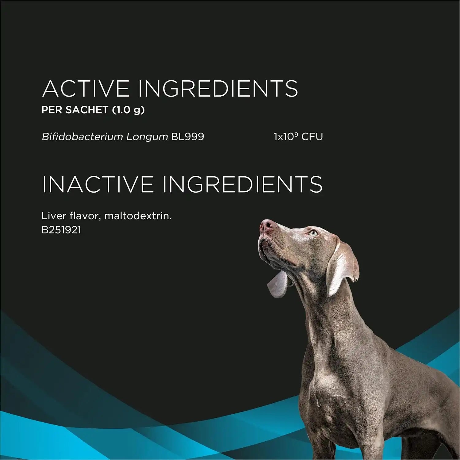 purinadogfood.it.com