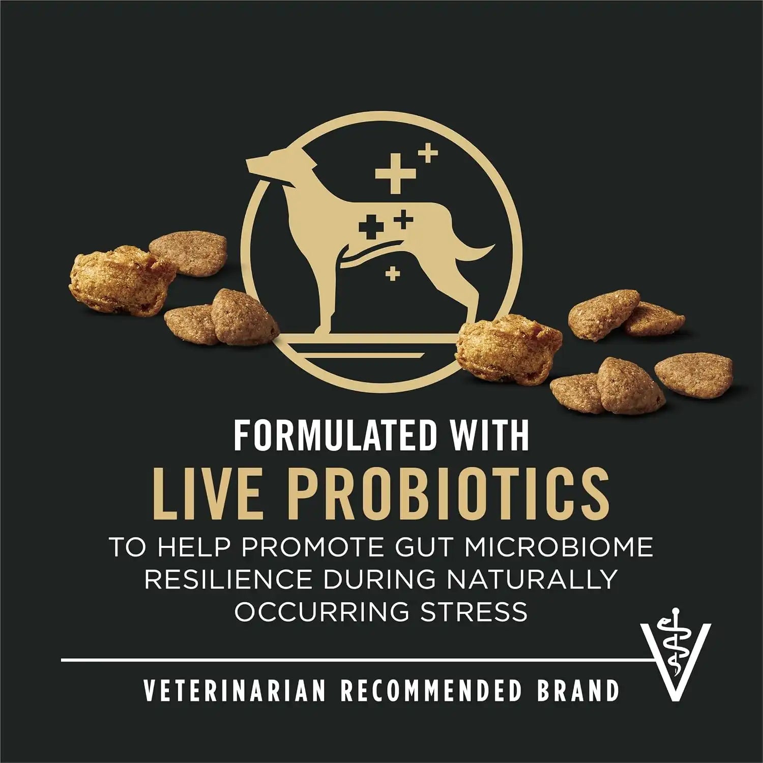 purinadogfood.it.com
