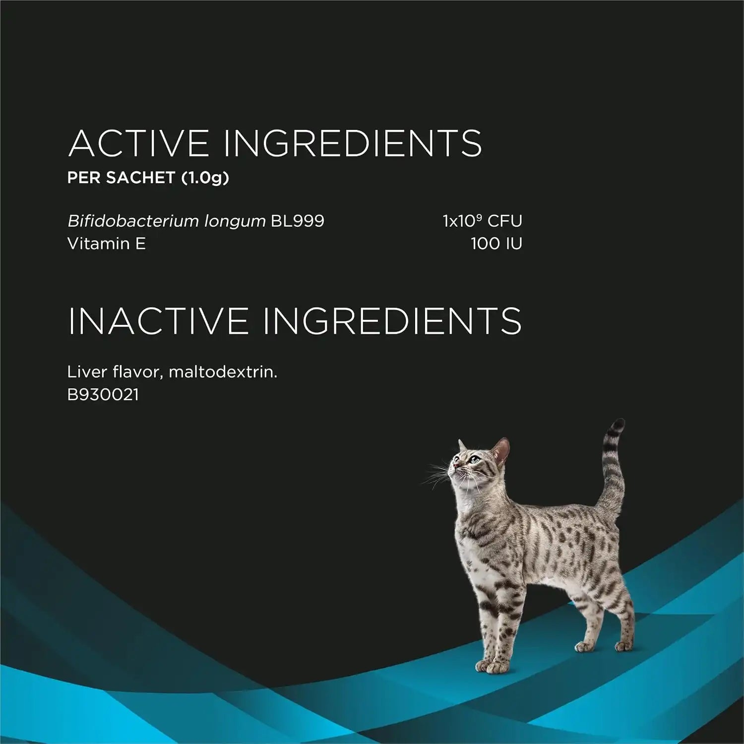 purinadogfood.it.com