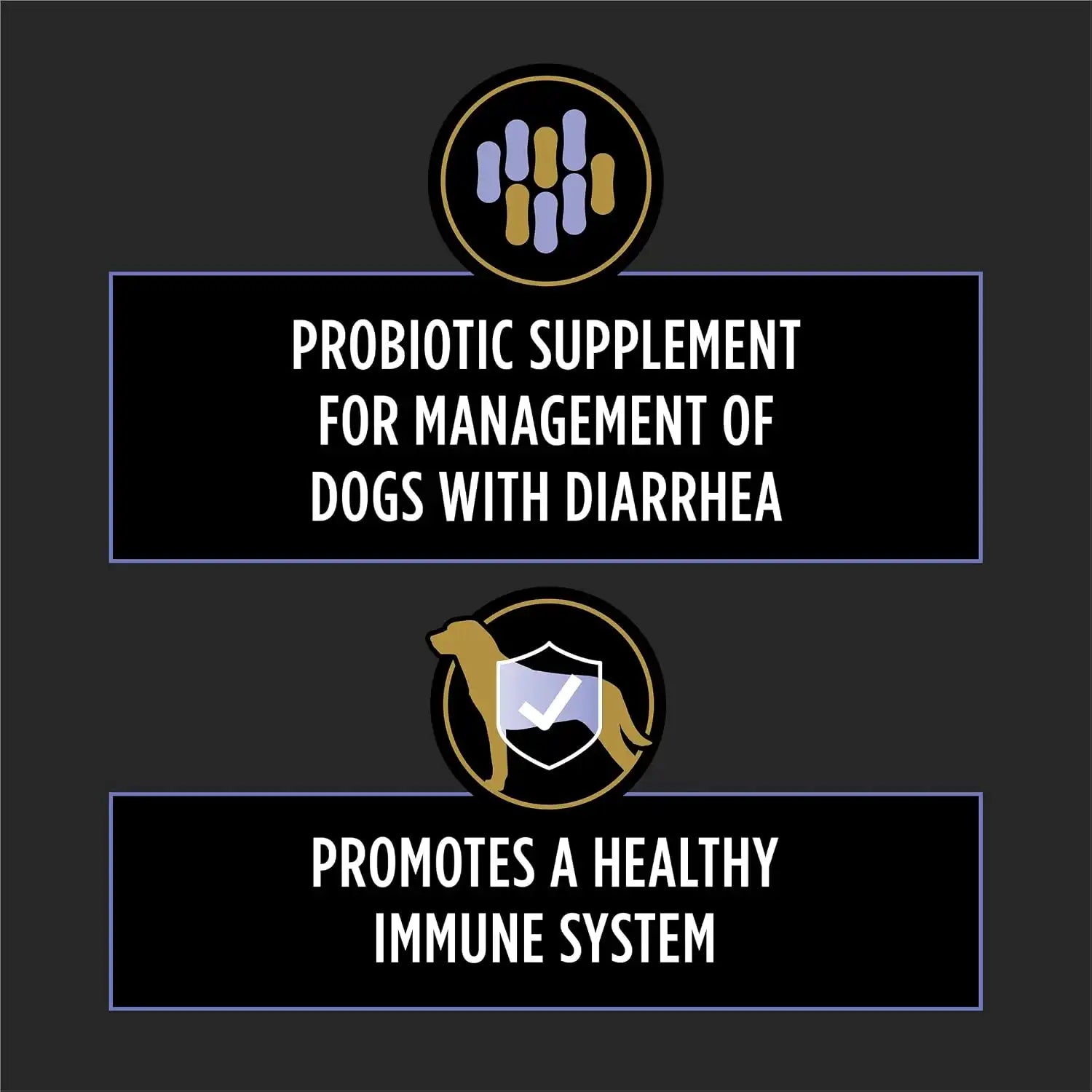 purinadogfood.it.com