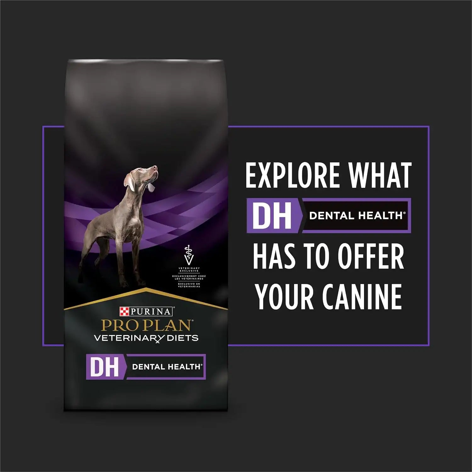 purinadogfood.it.com