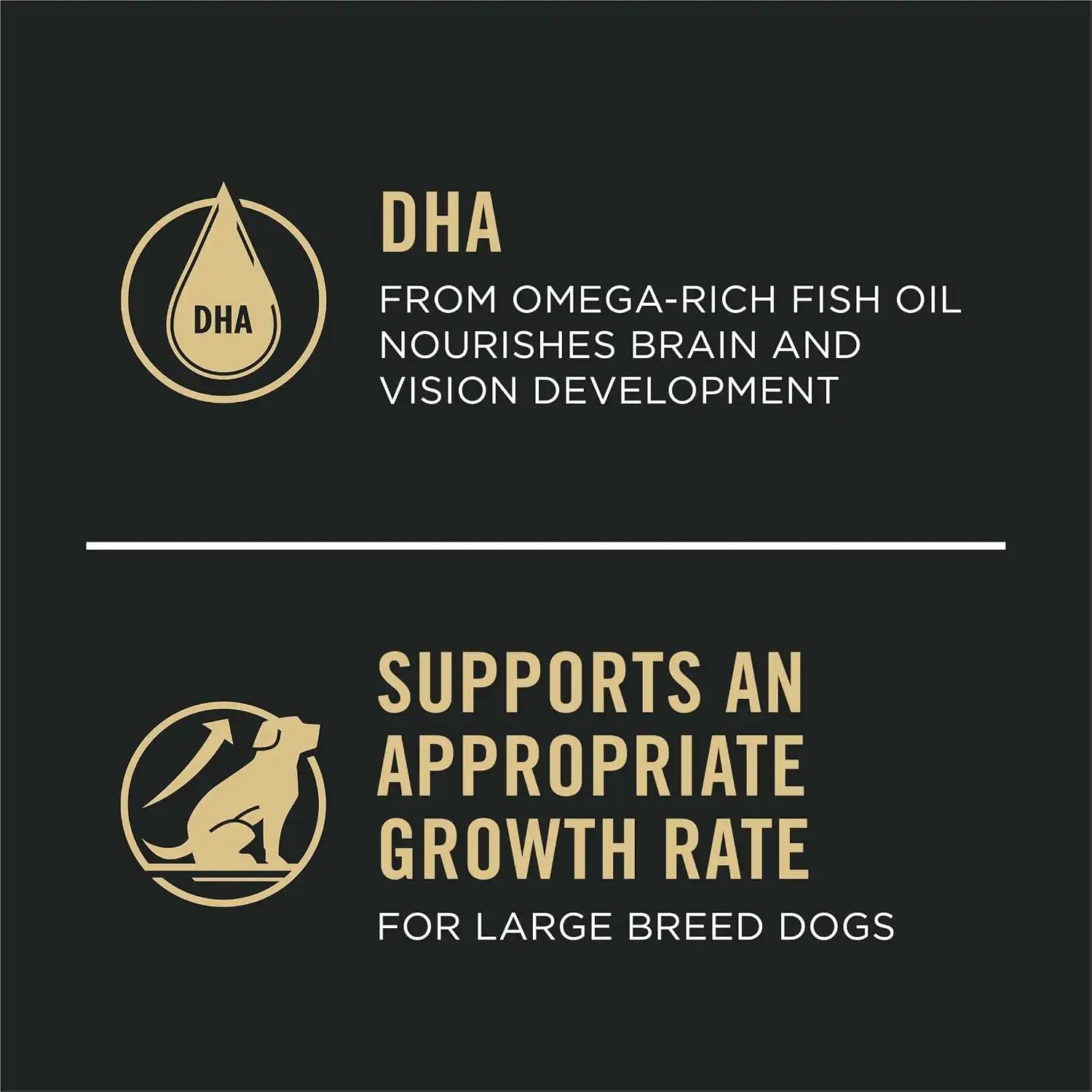 purinadogfood.it.com