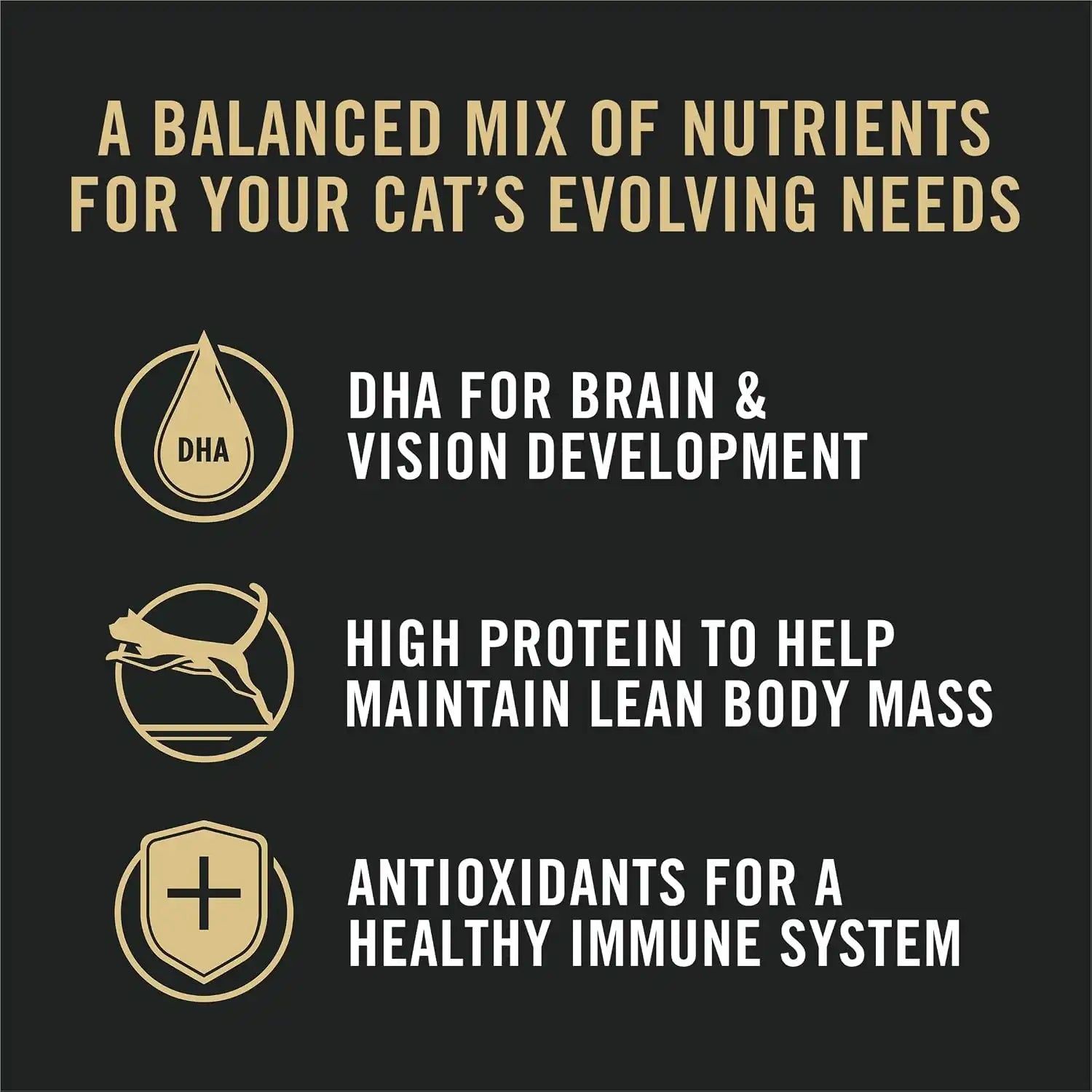 purinadogfood.it.com