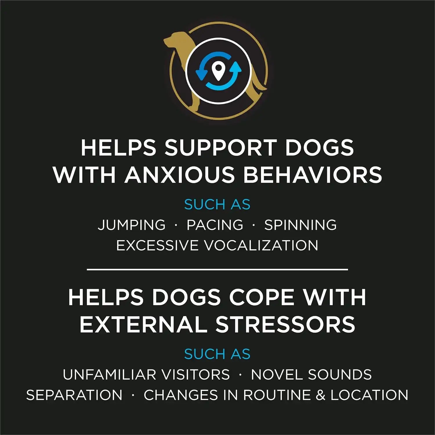 purinadogfood.it.com