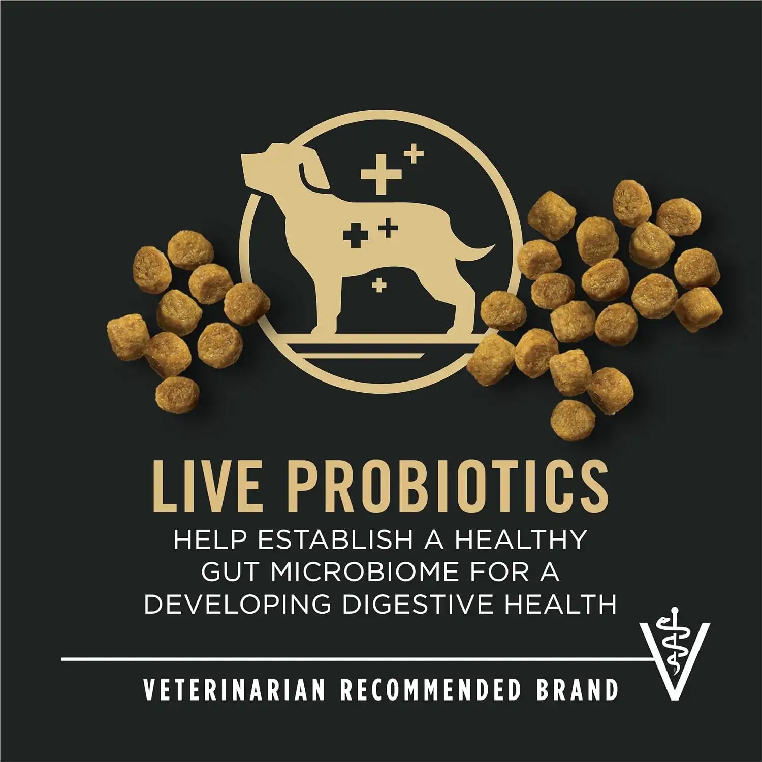 purinadogfood.it.com