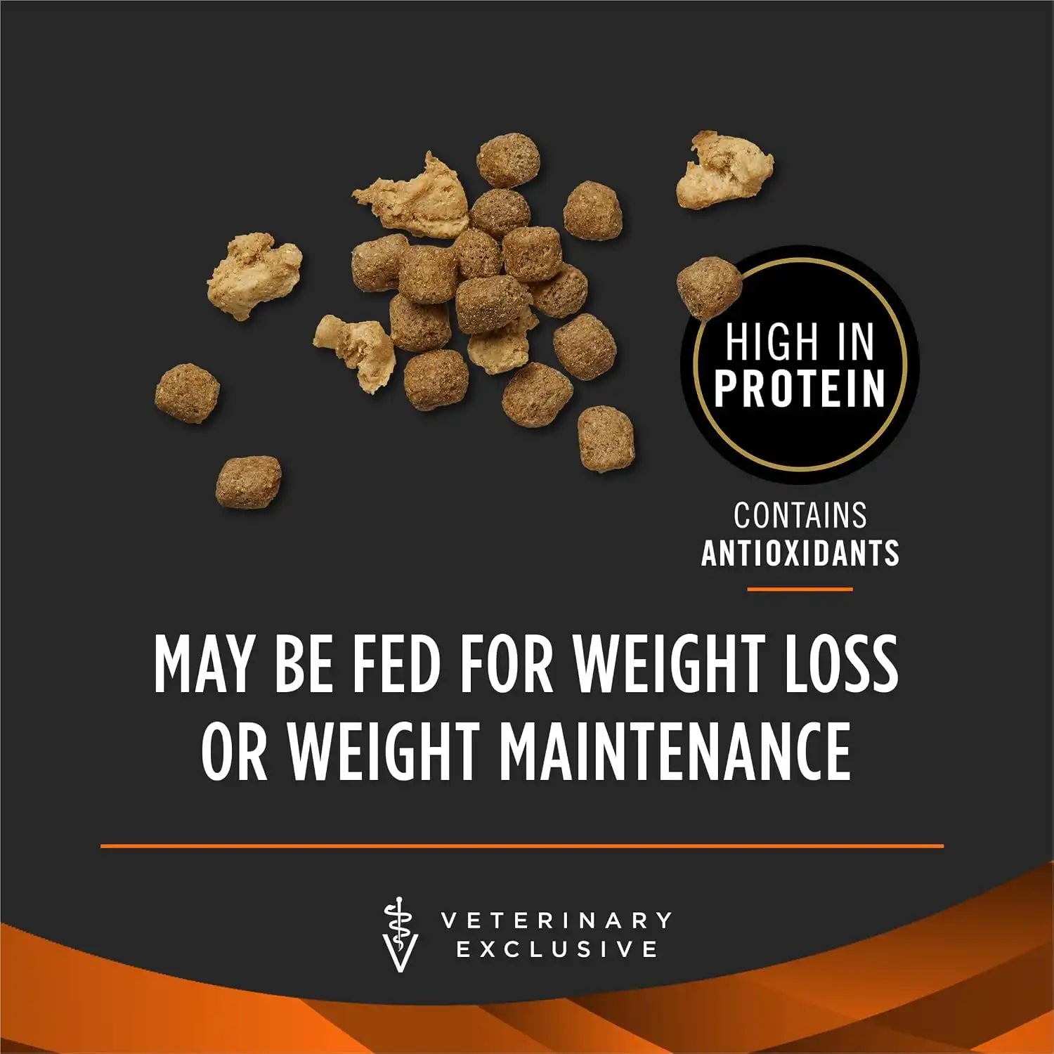 purinadogfood.it.com