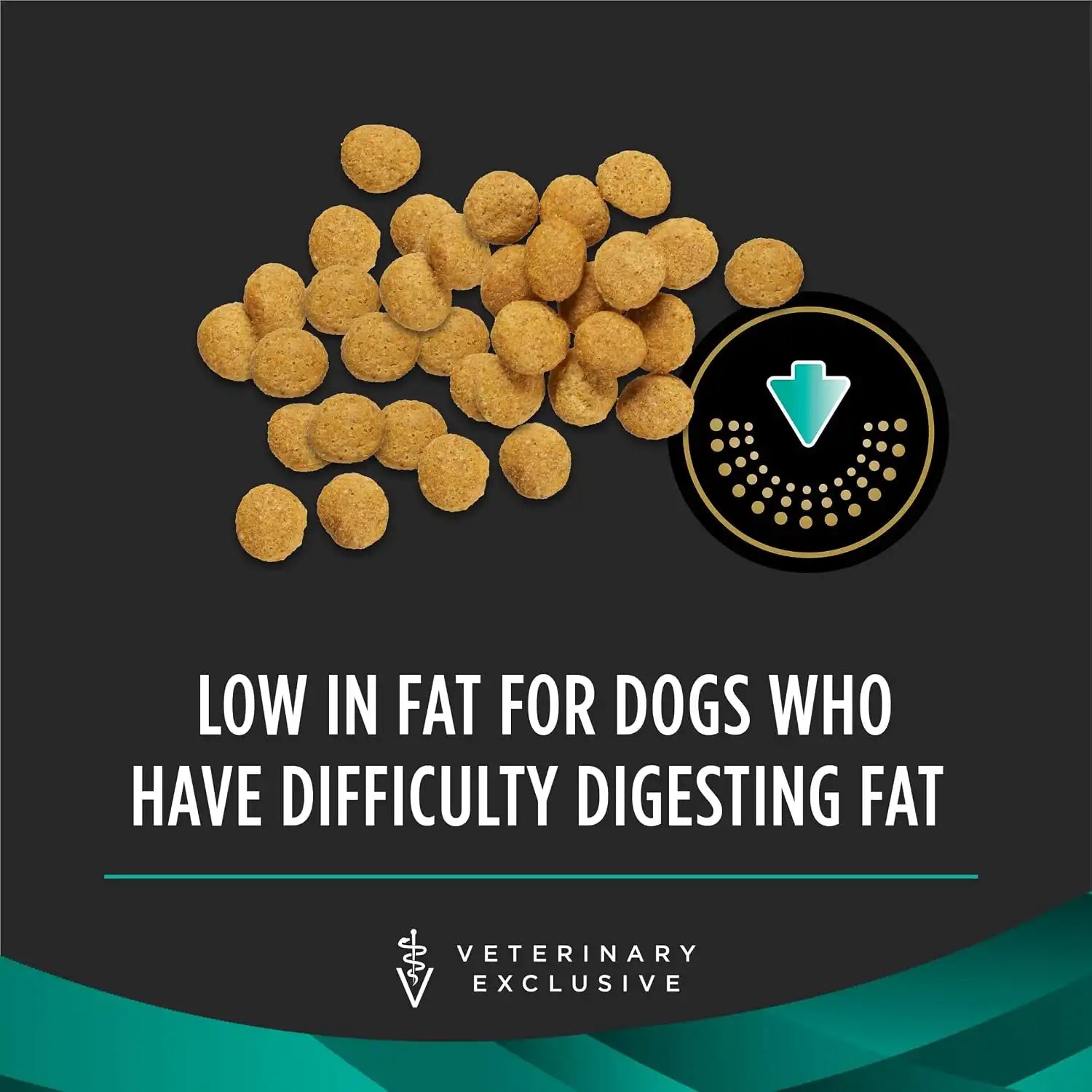 purinadogfood.it.com