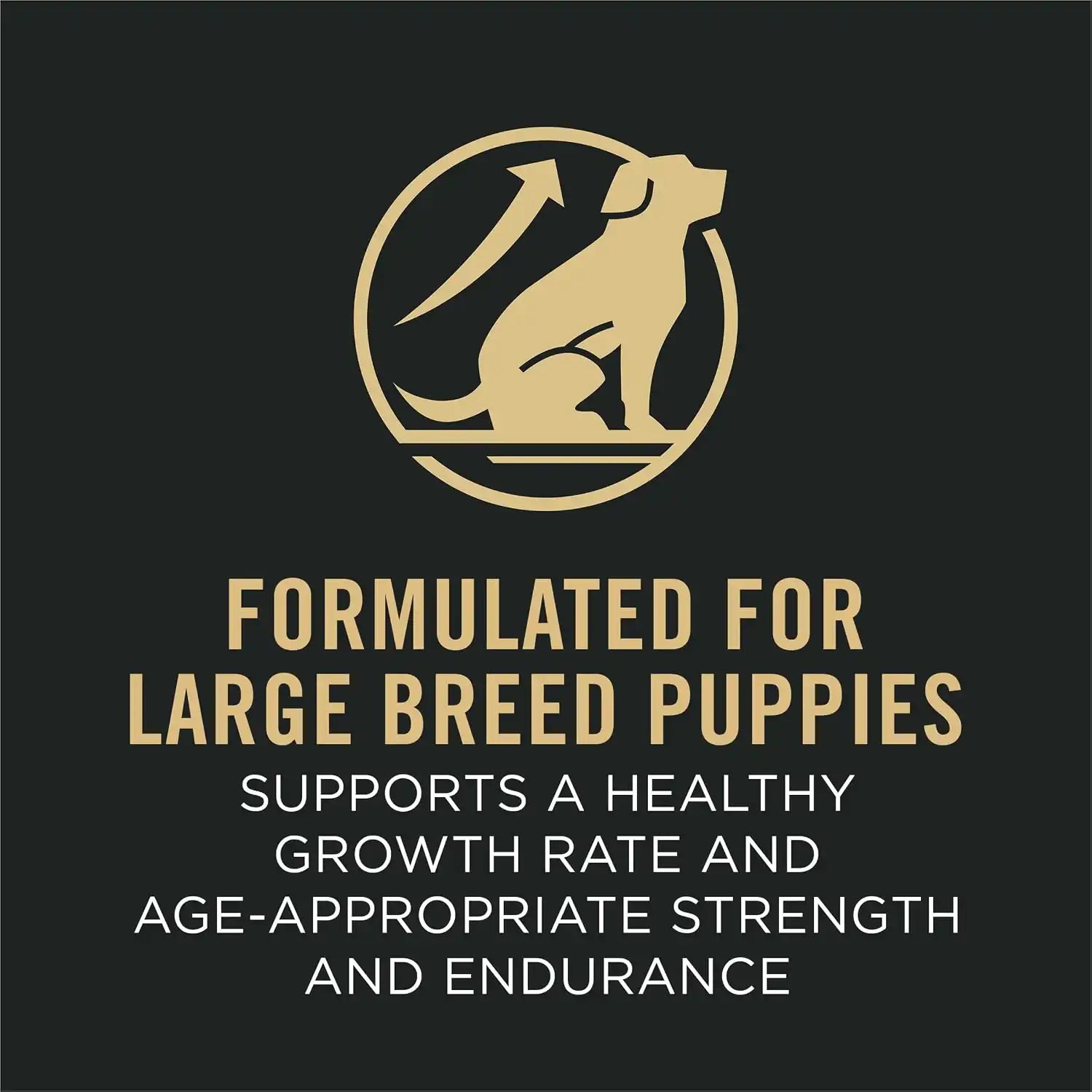 purinadogfood.it.com