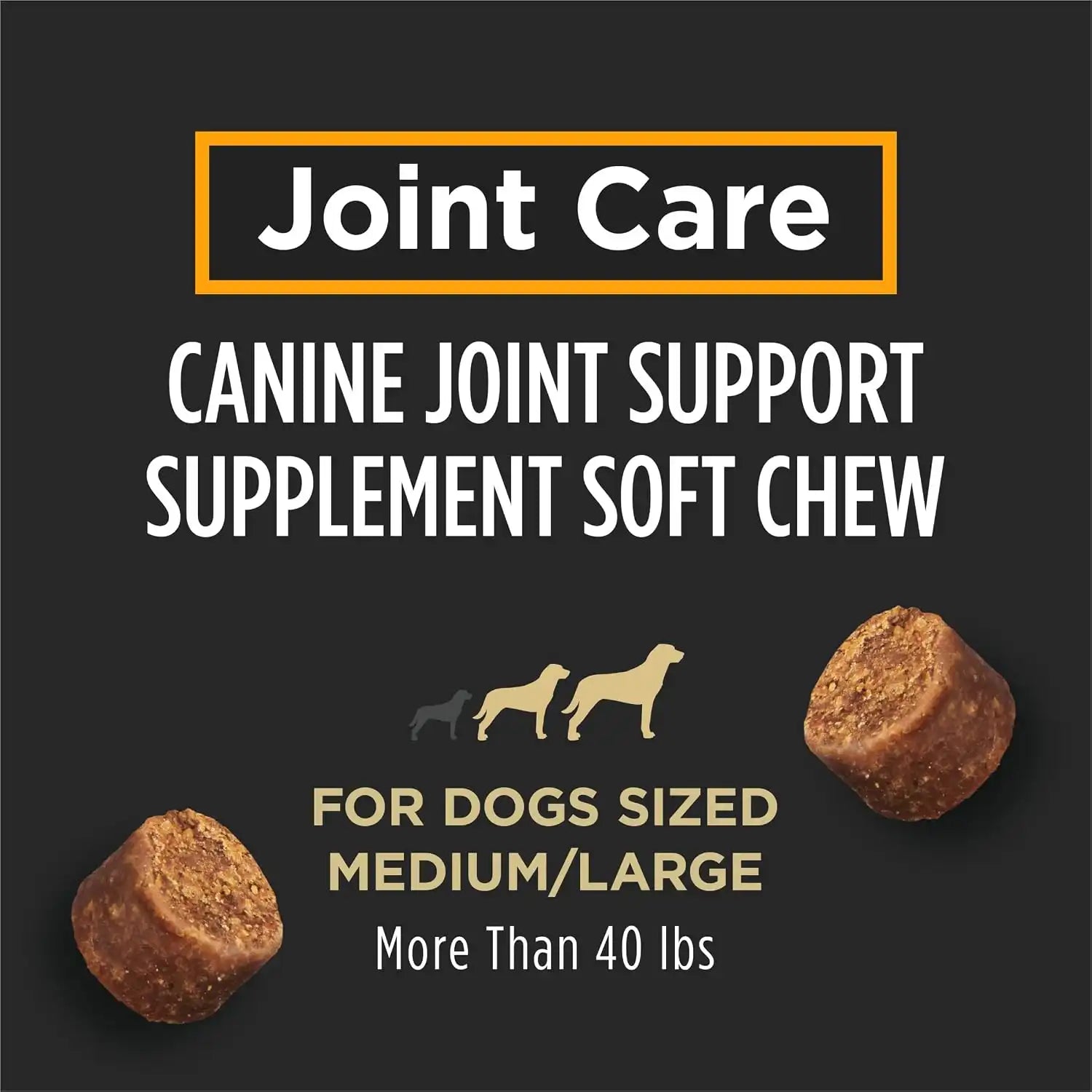 purinadogfood.it.com