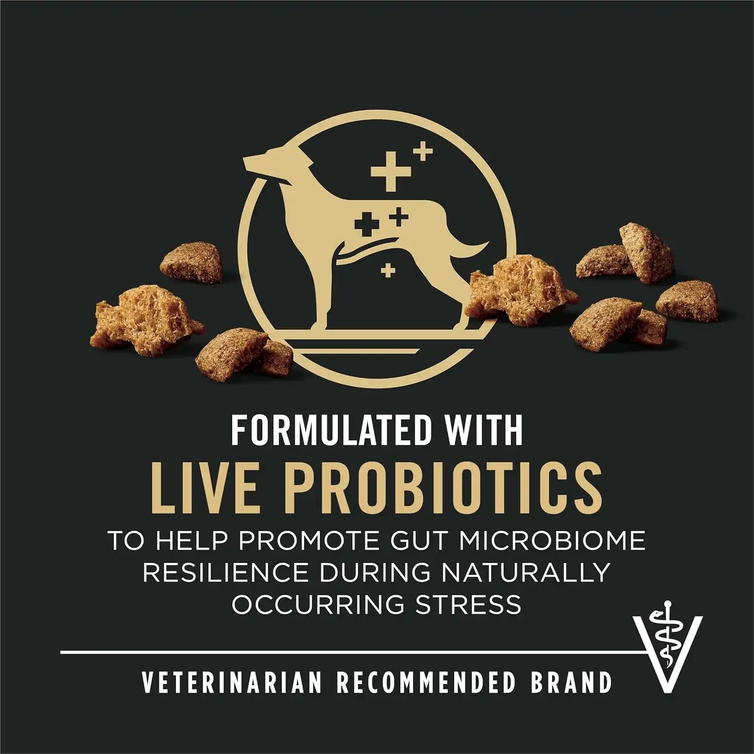 purinadogfood.it.com