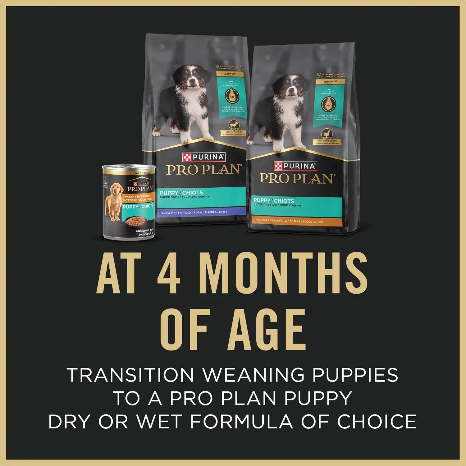 purinadogfood.it.com