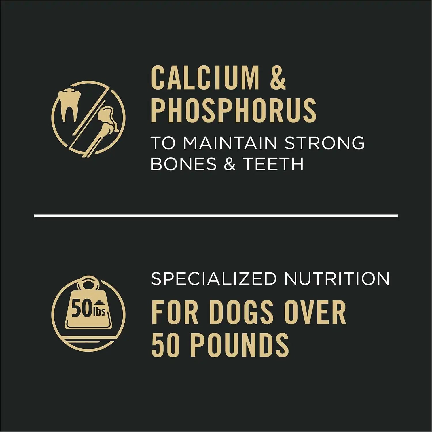 purinadogfood.it.com