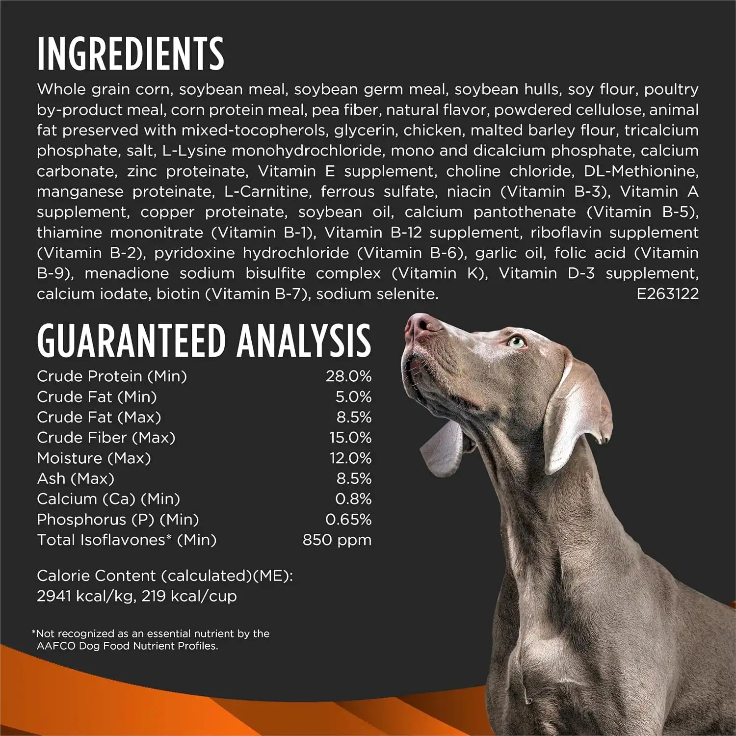 purinadogfood.it.com