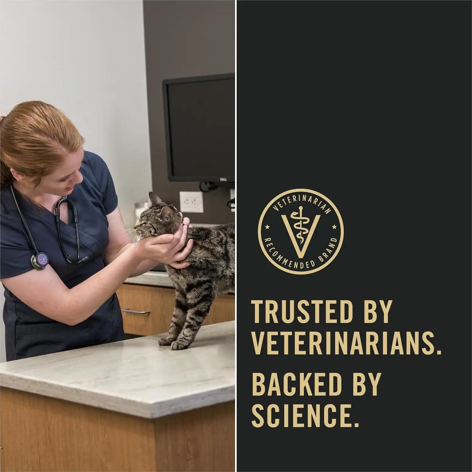 purinadogfood.it.com