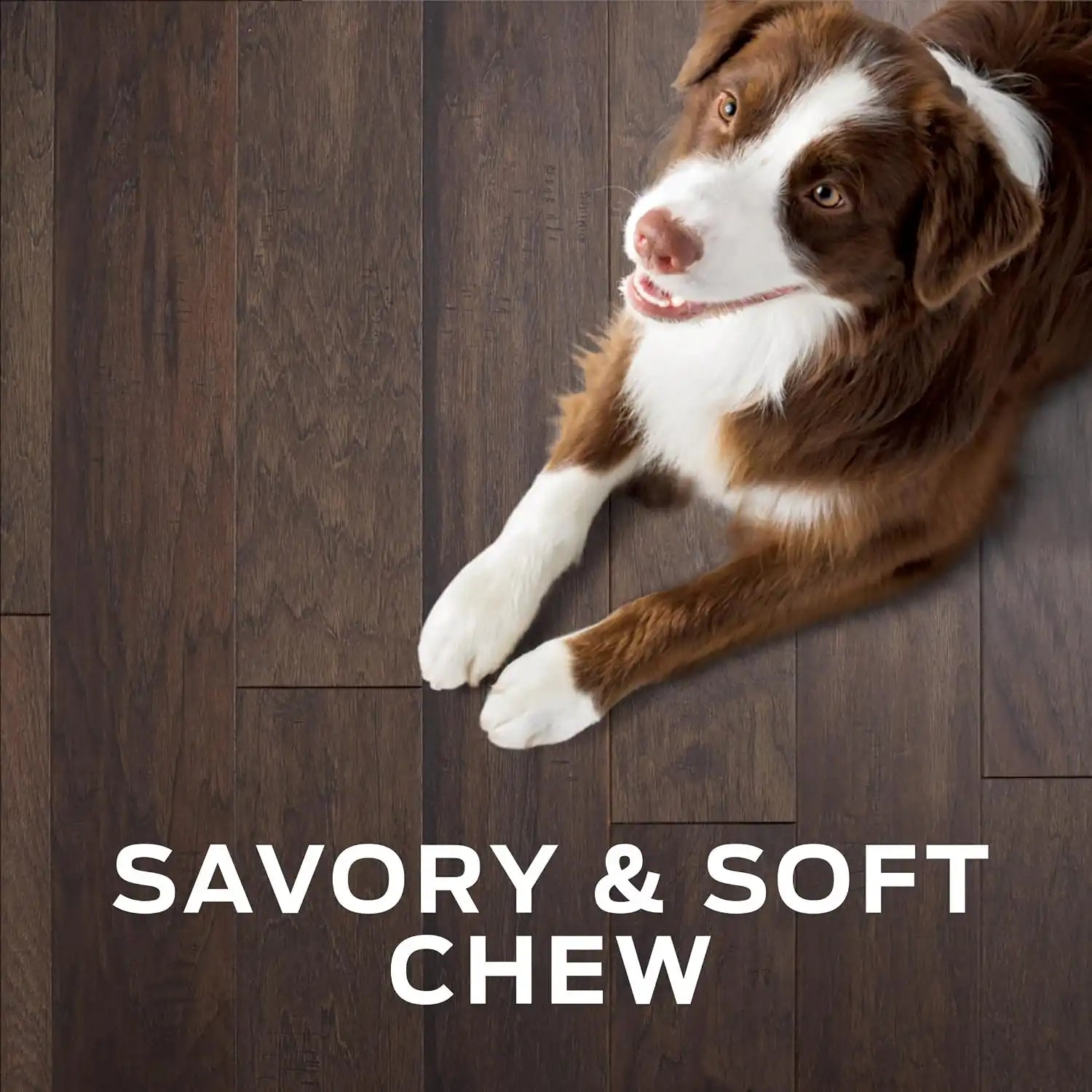 purinadogfood.it.com