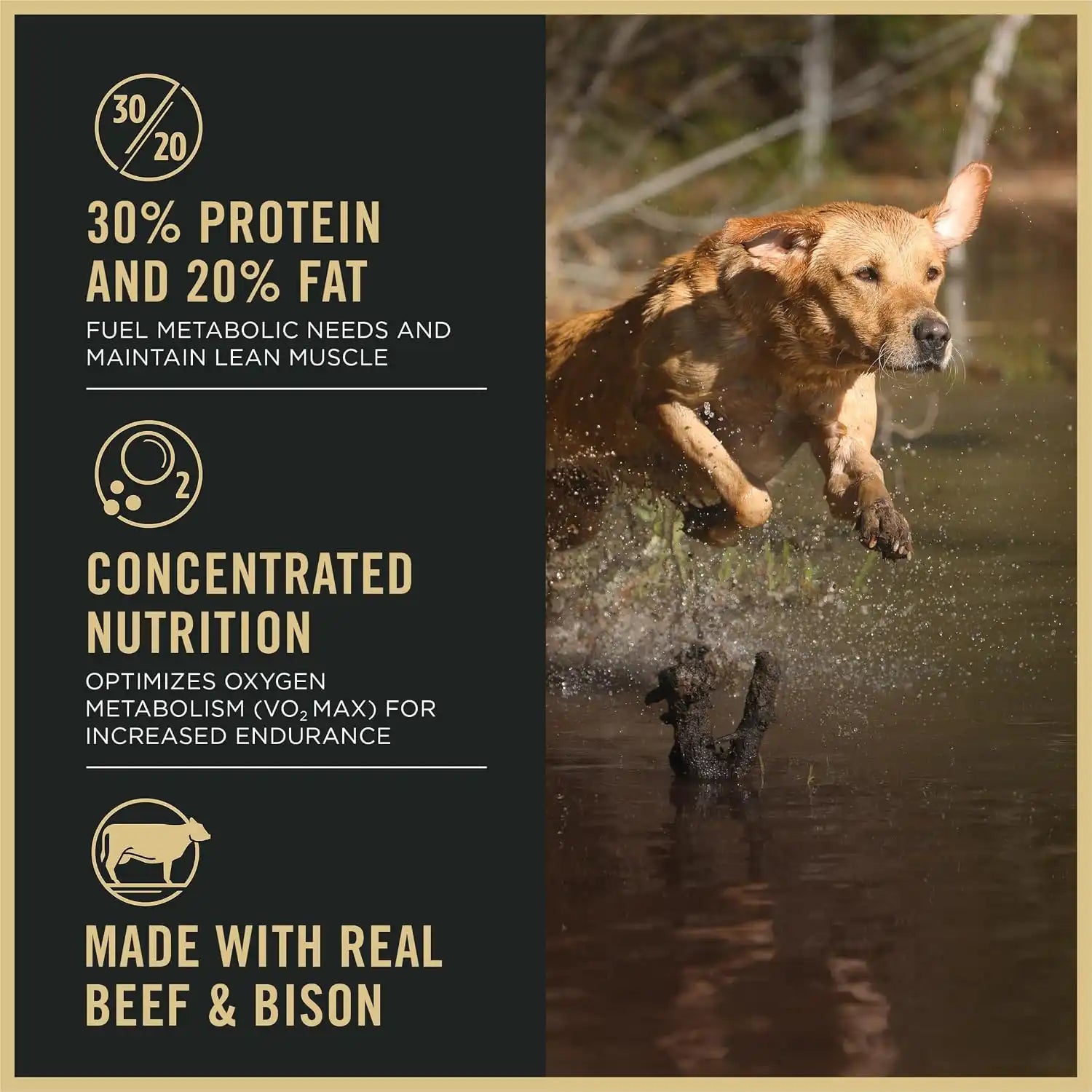 purinadogfood.it.com