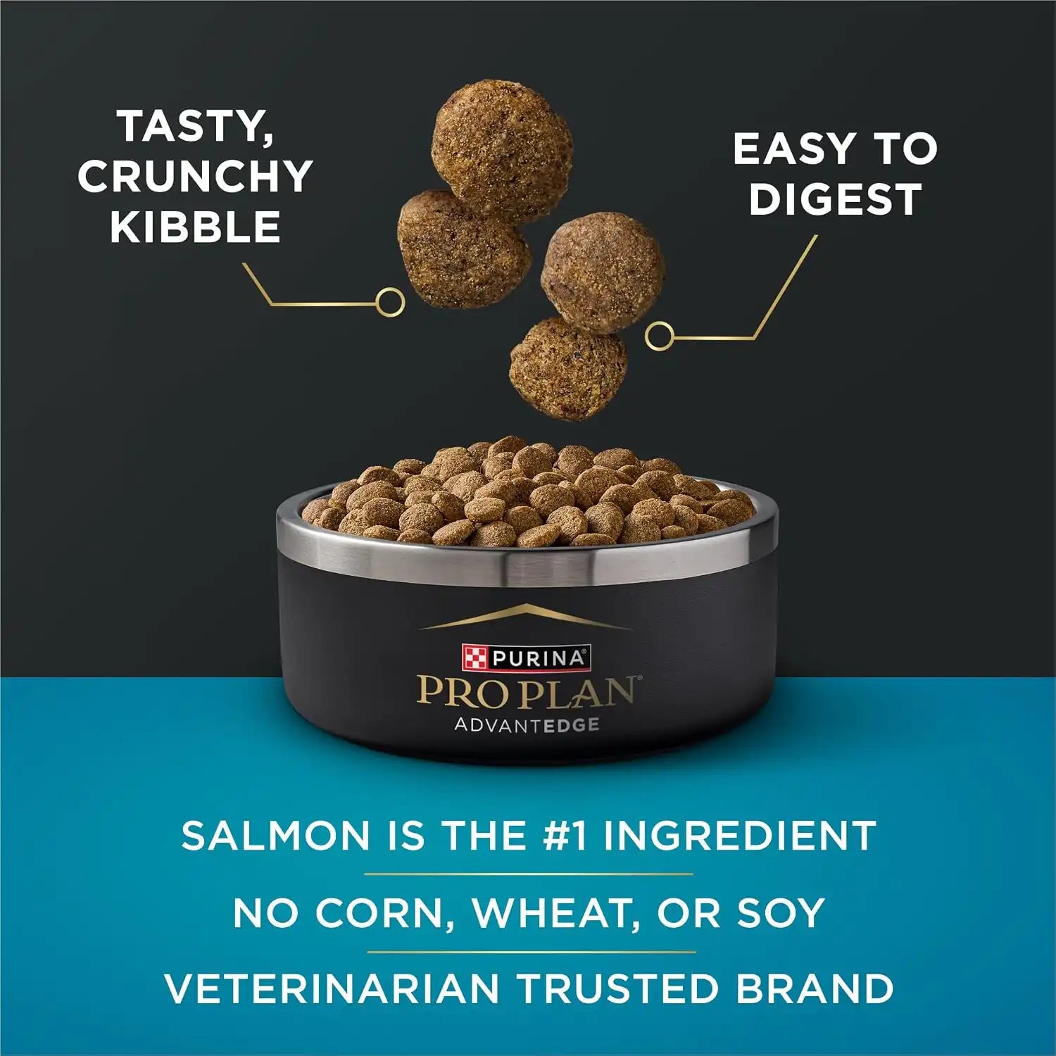 purinadogfood.it.com