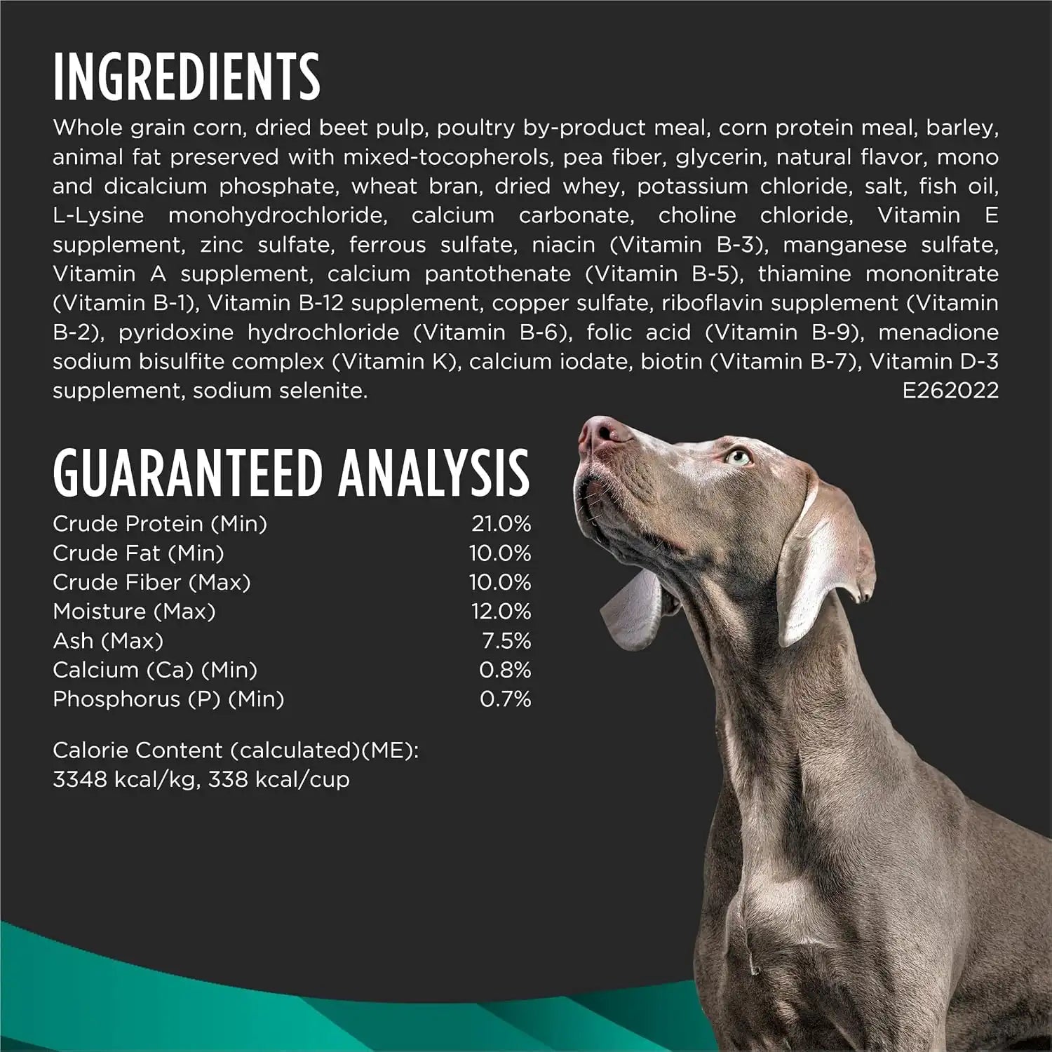 purinadogfood.it.com