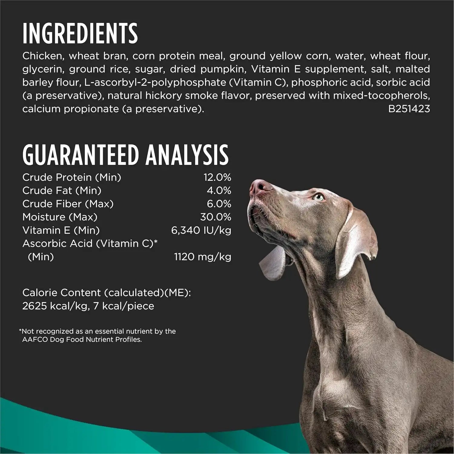 purinadogfood.it.com
