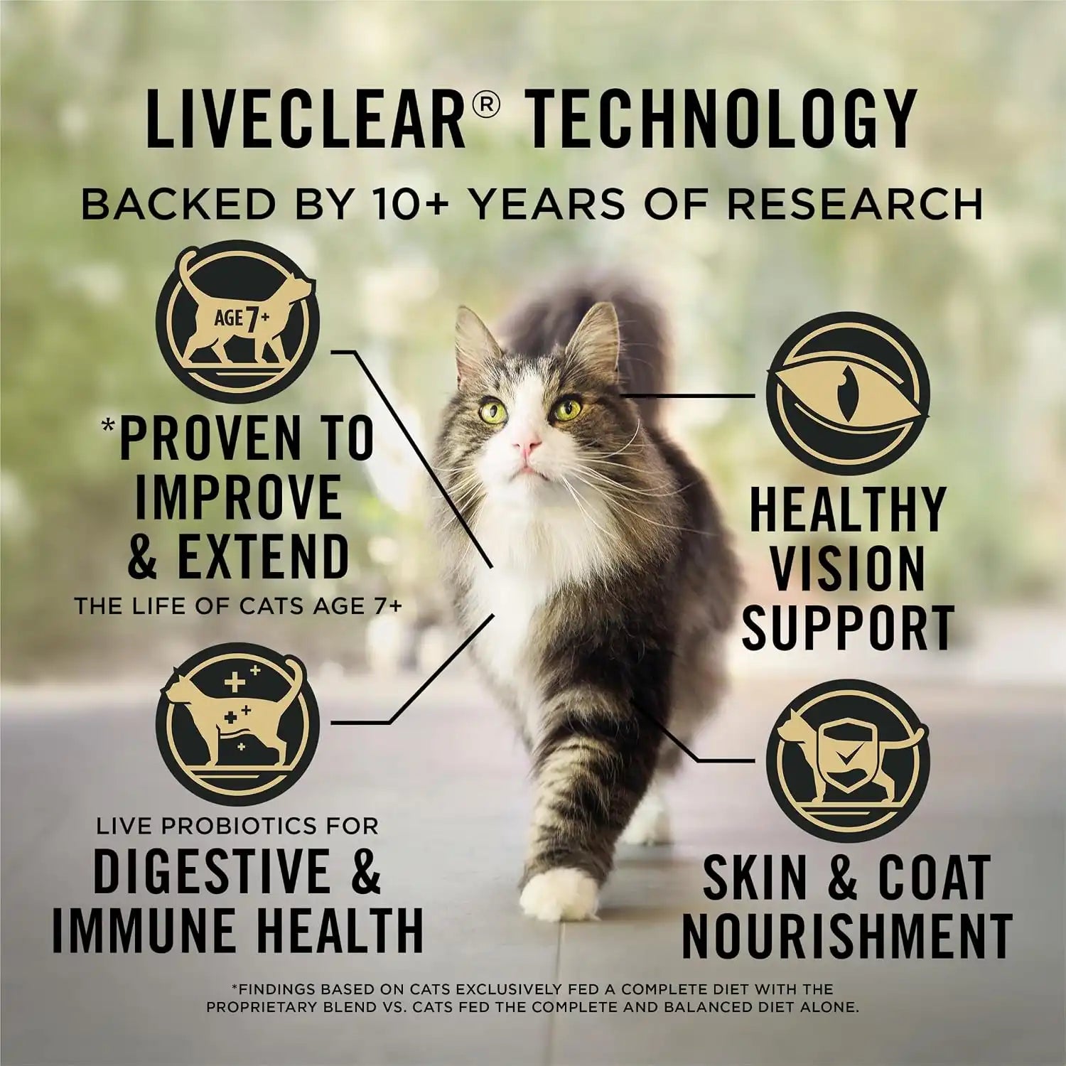 purinadogfood.it.com