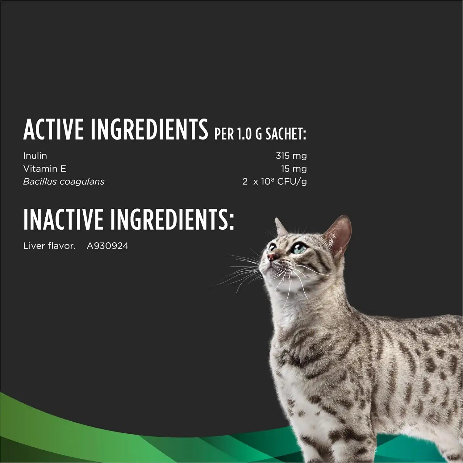 purinadogfood.it.com