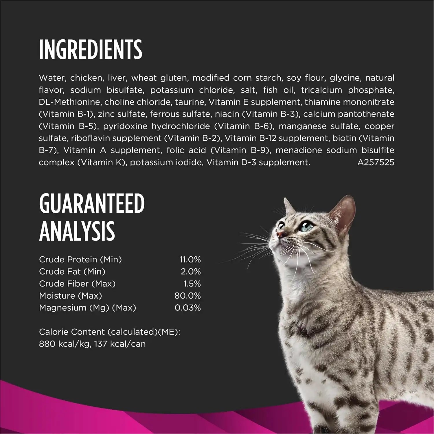 purinadogfood.it.com