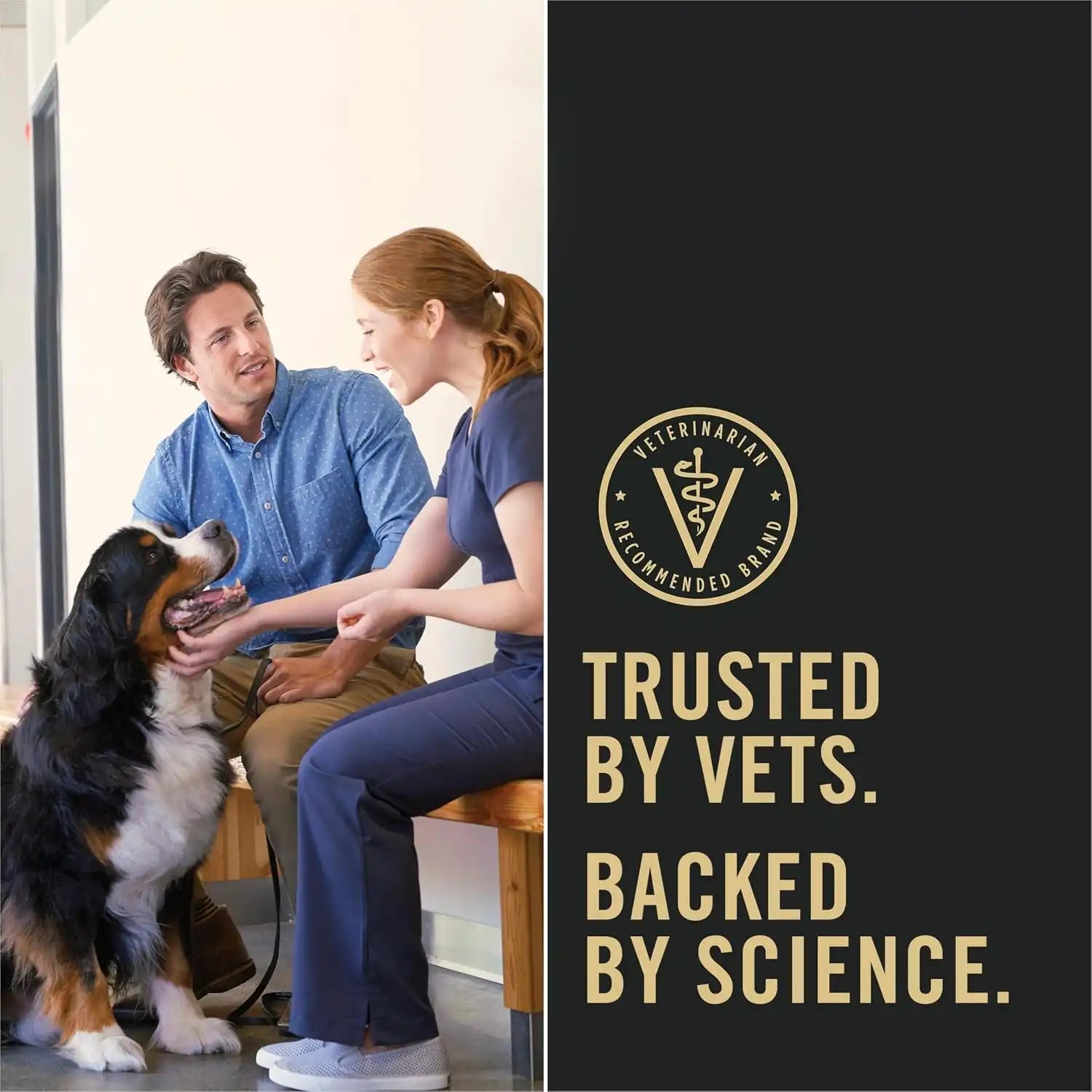 purinadogfood.it.com