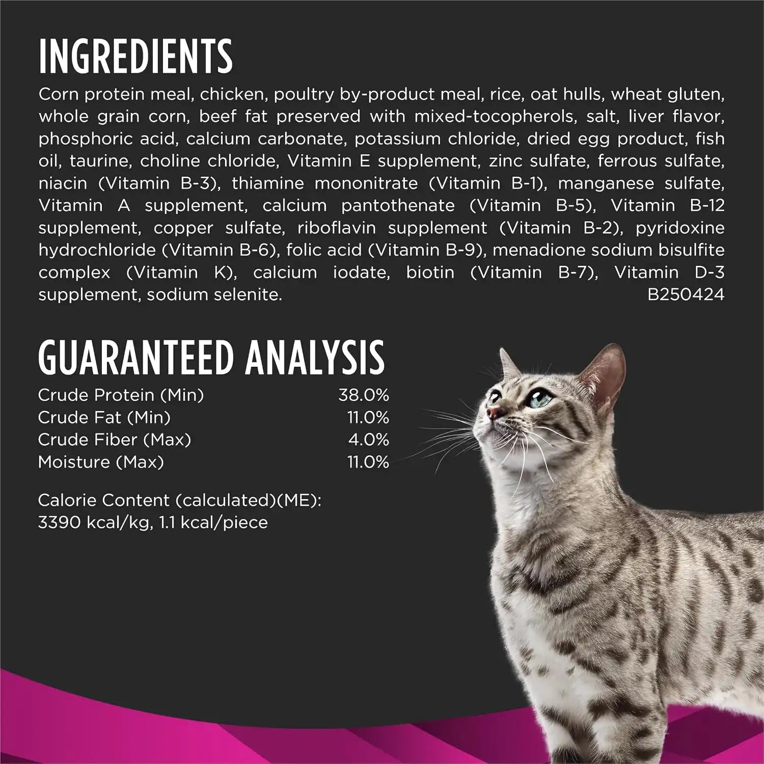 purinadogfood.it.com