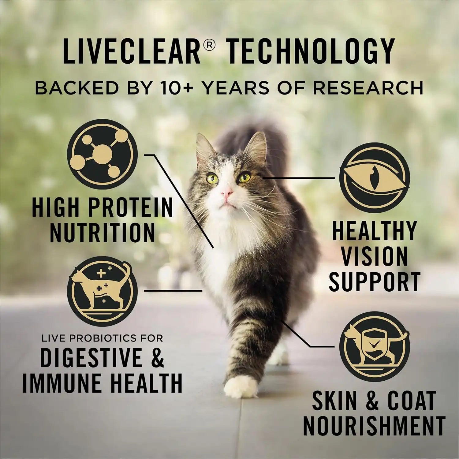 purinadogfood.it.com