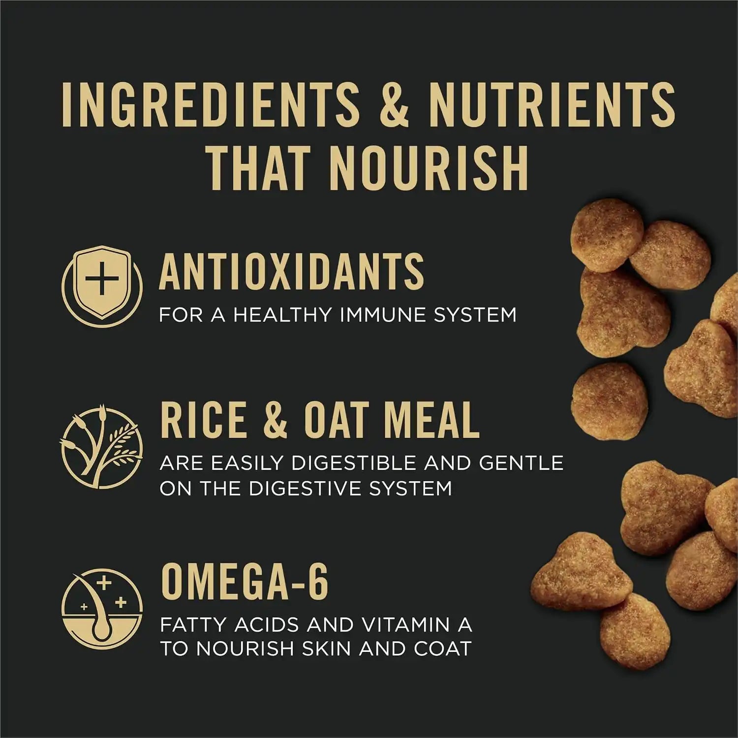 purinadogfood.it.com
