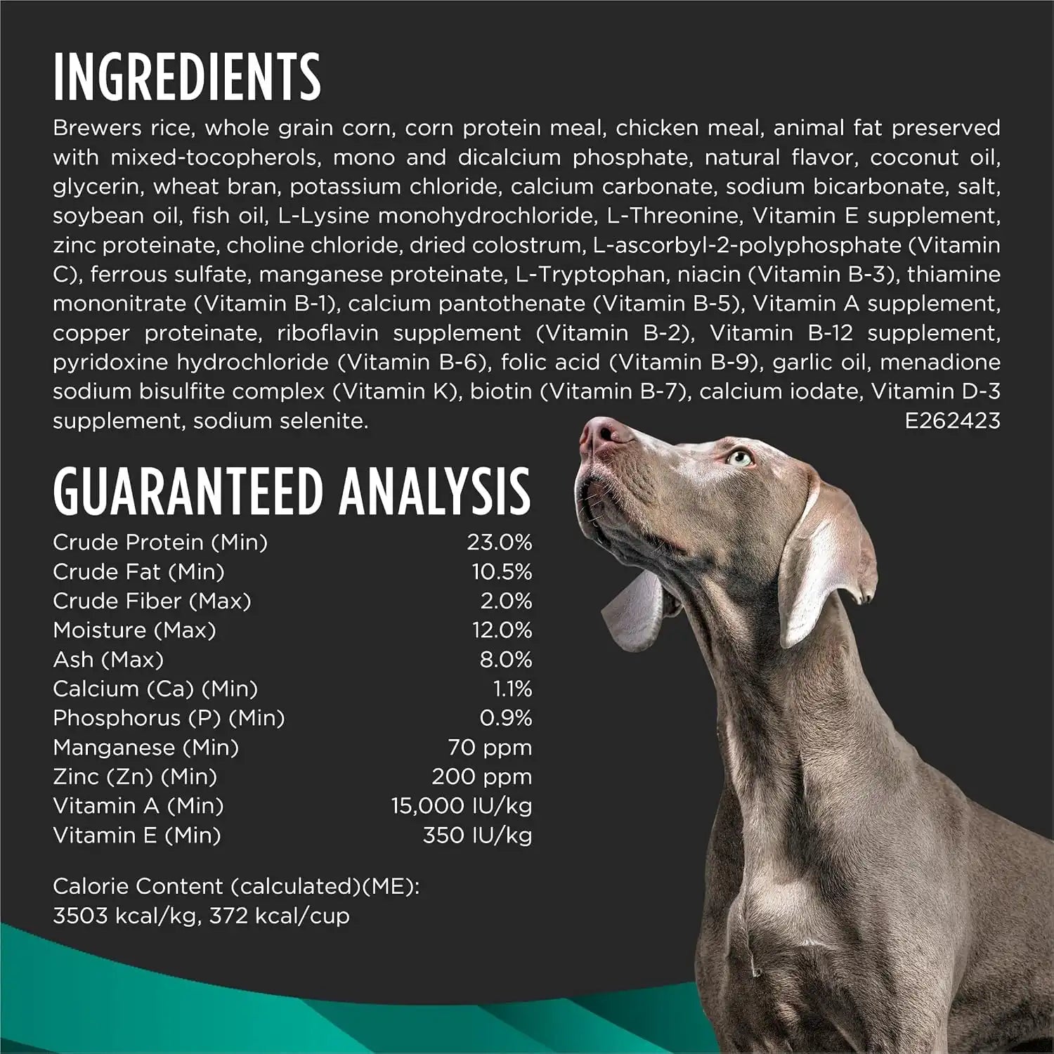 purinadogfood.it.com