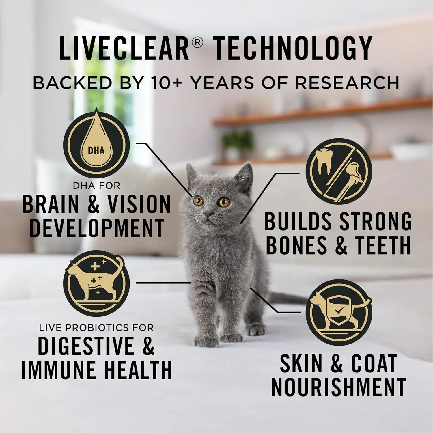purinadogfood.it.com