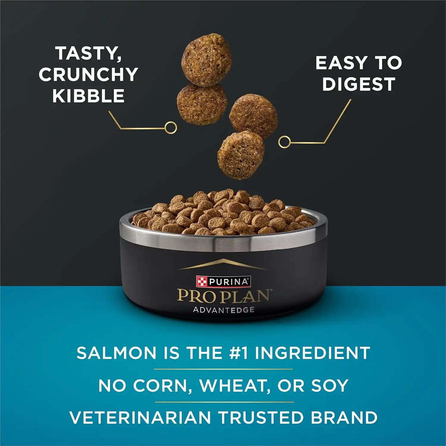 purinadogfood.it.com