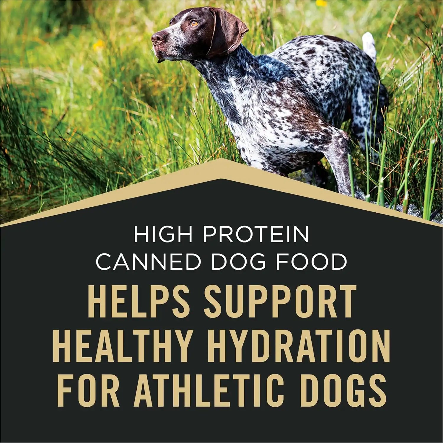 purinadogfood.it.com