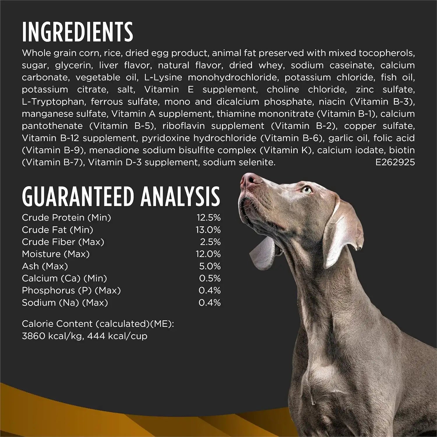 purinadogfood.it.com