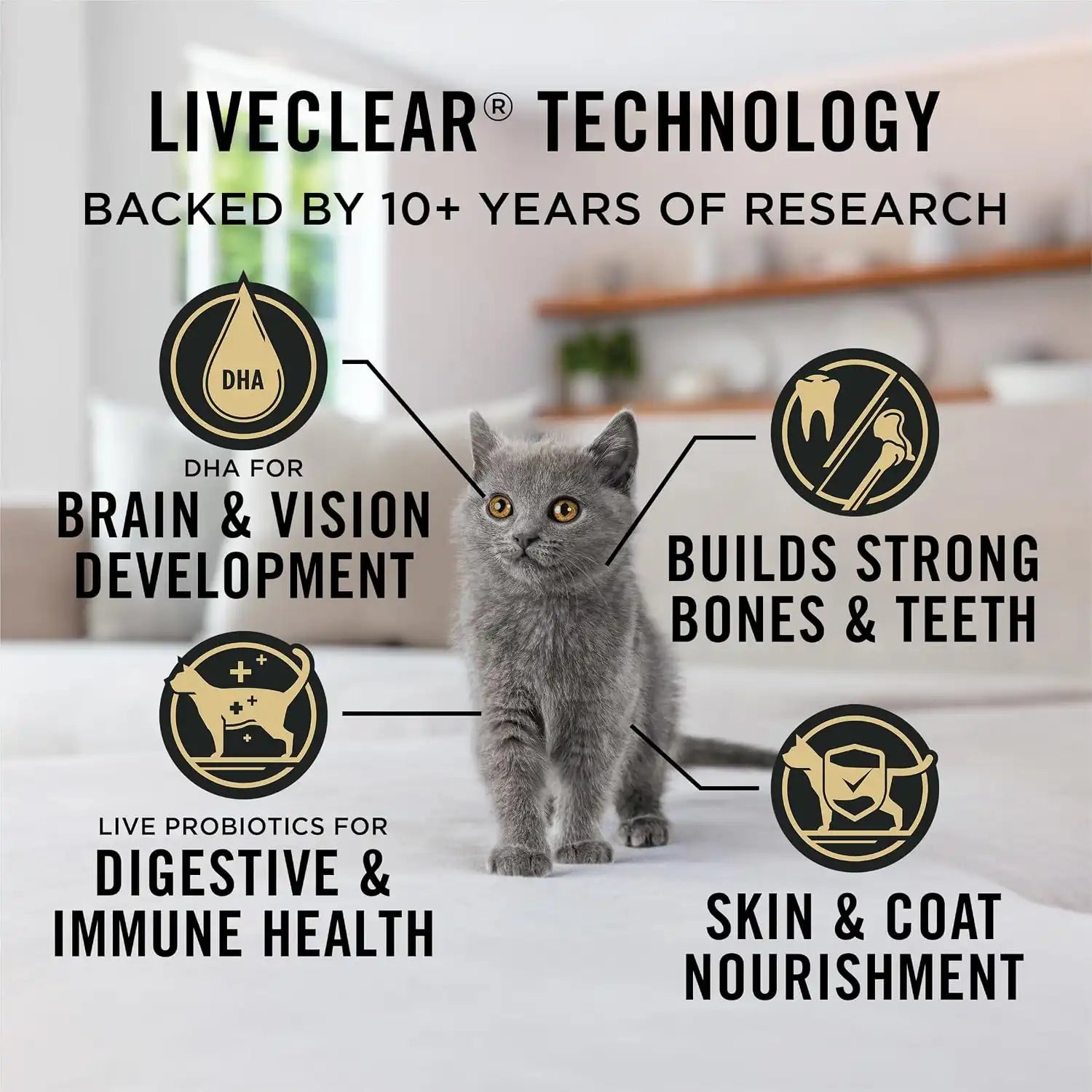 purinadogfood.it.com