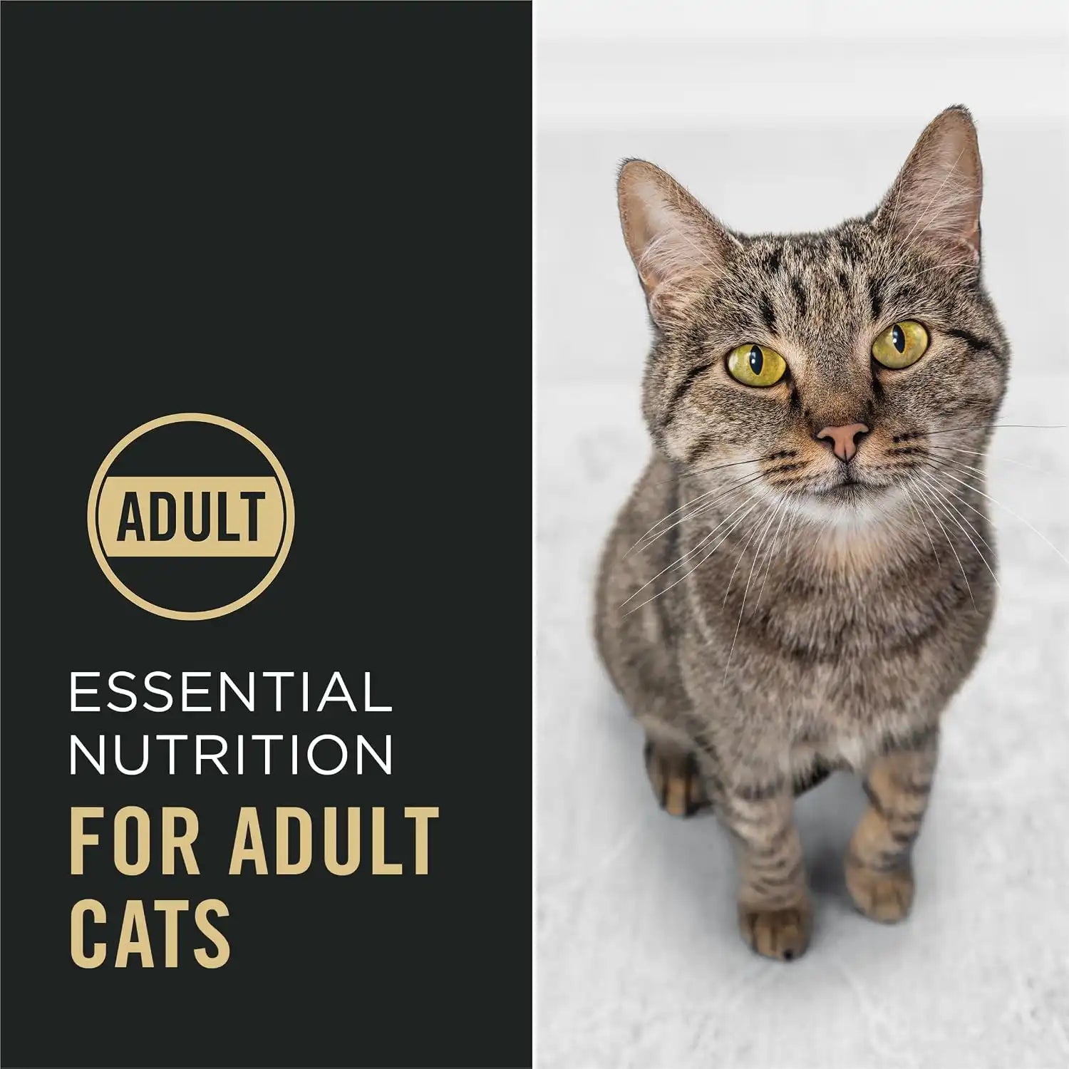 purinadogfood.it.com