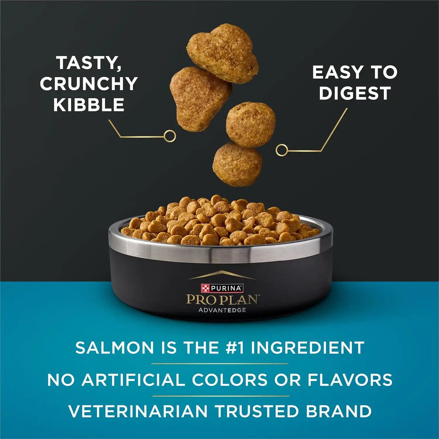 purinadogfood.it.com