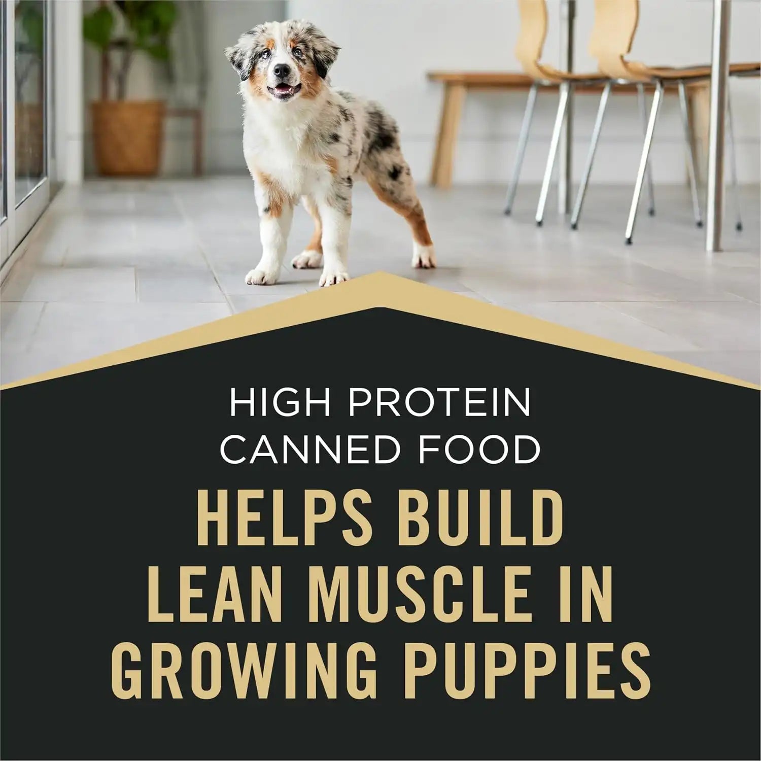 purinadogfood.it.com