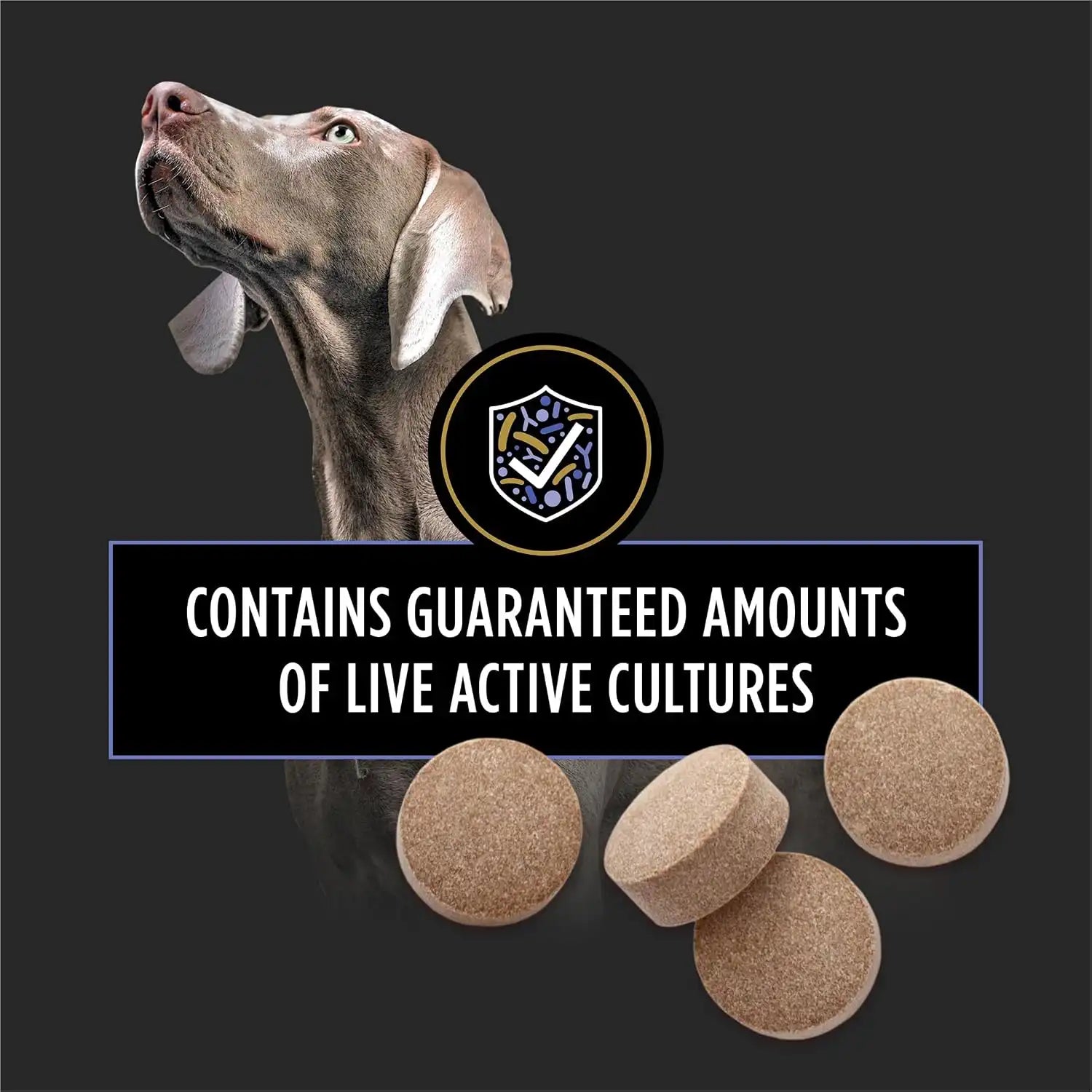 purinadogfood.it.com