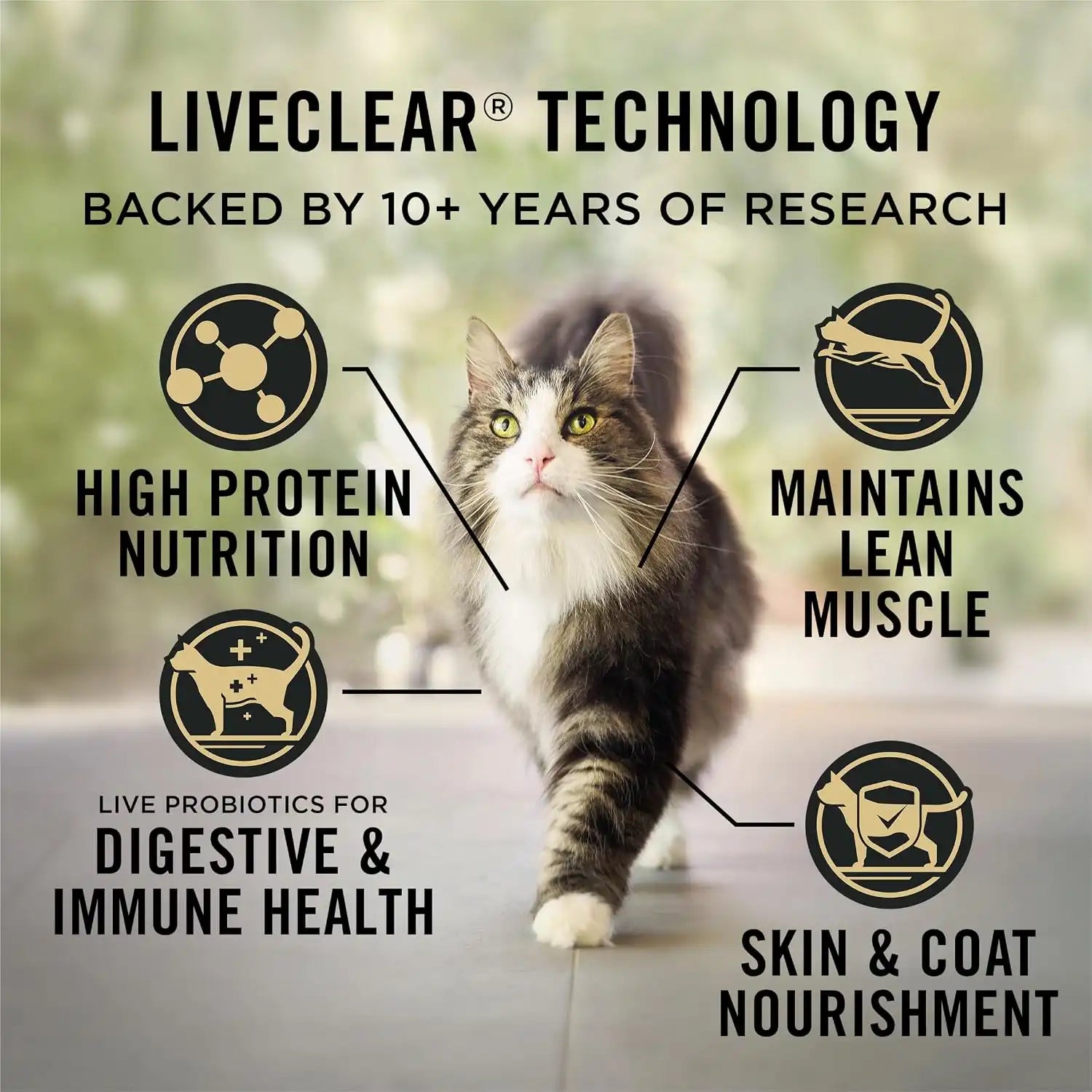 purinadogfood.it.com