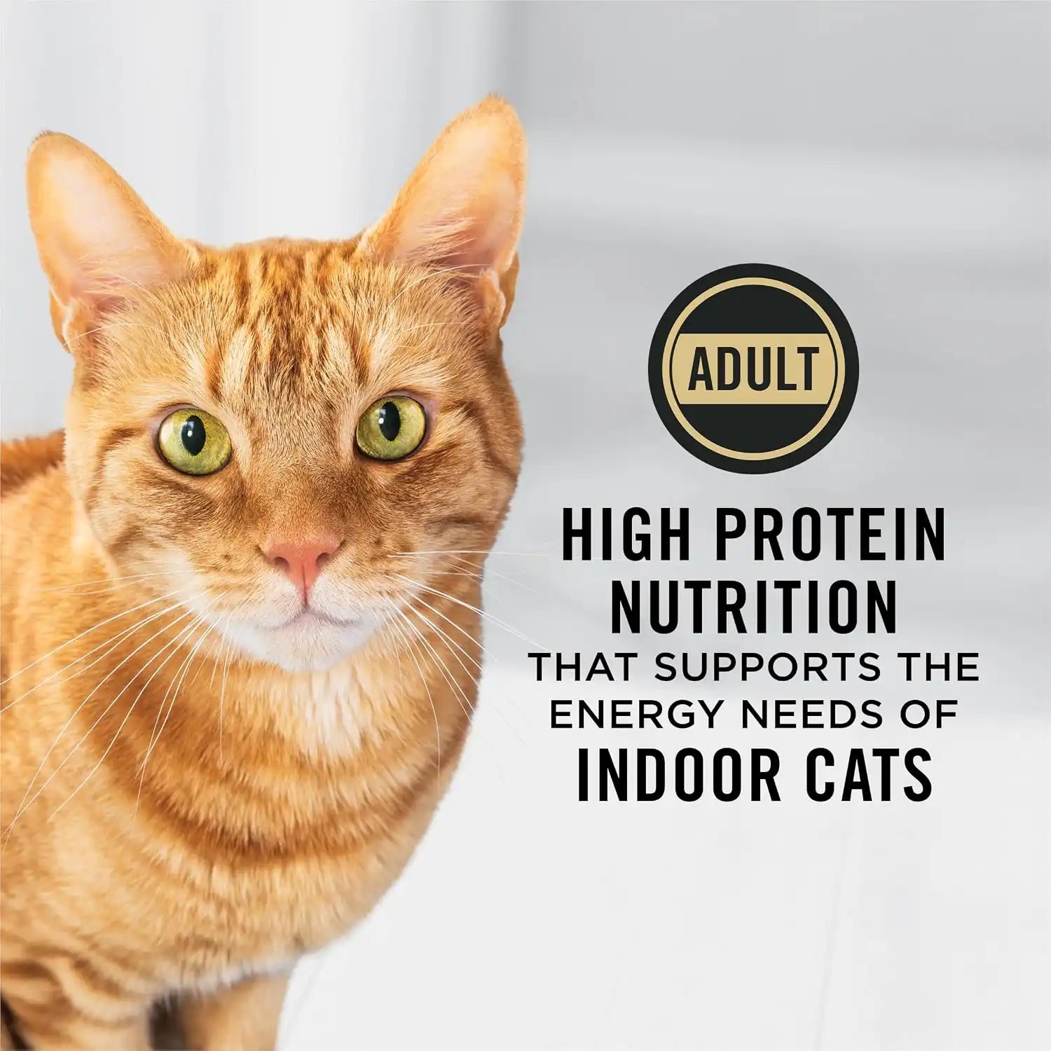 purinadogfood.it.com