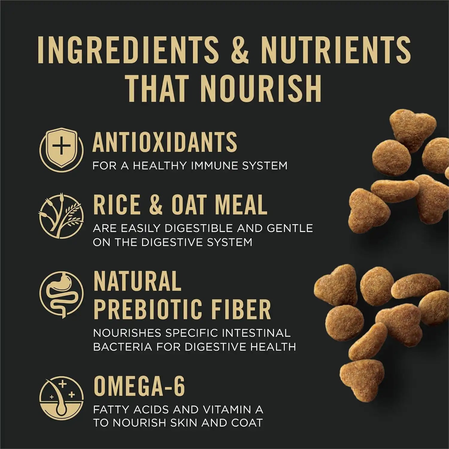 purinadogfood.it.com