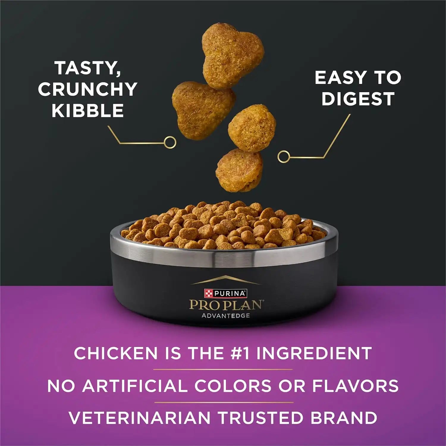 purinadogfood.it.com