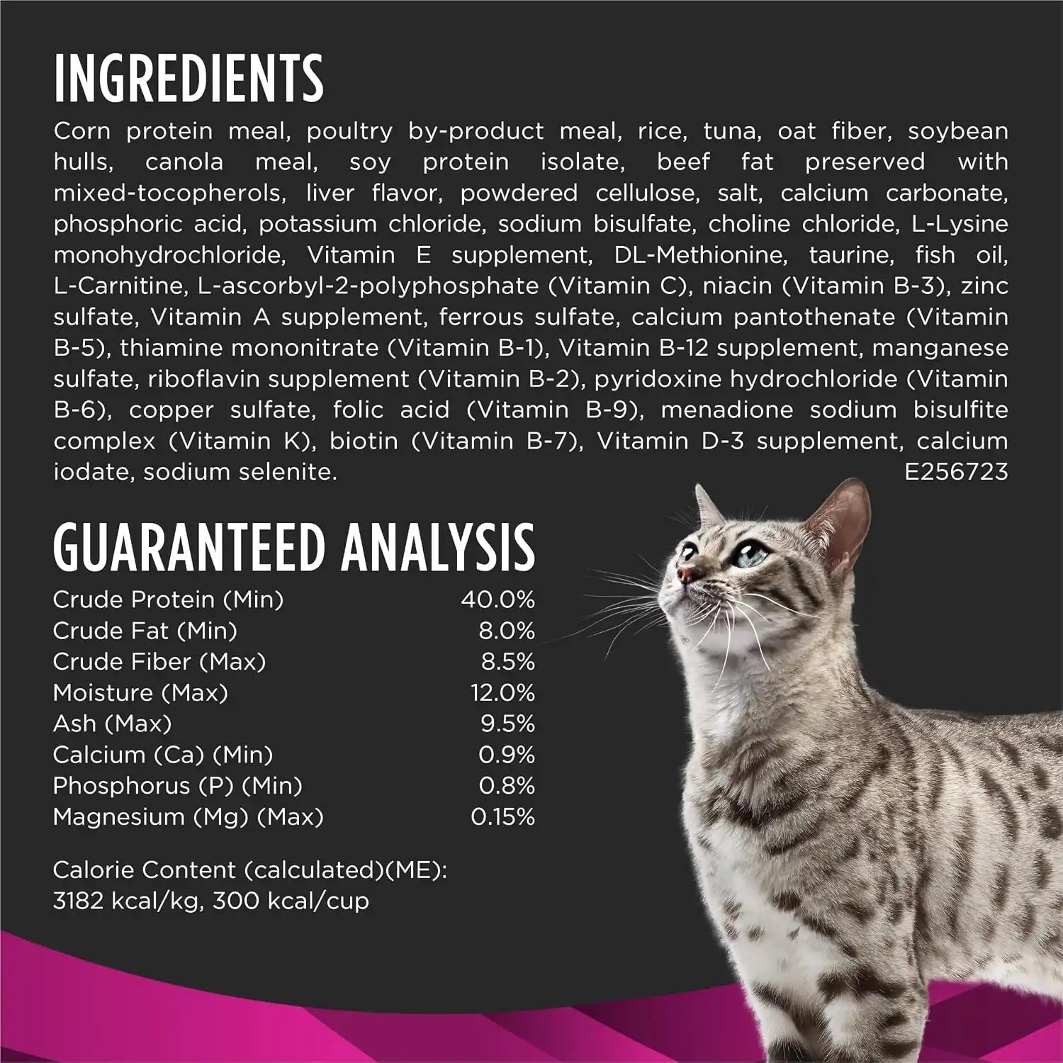 purinadogfood.it.com